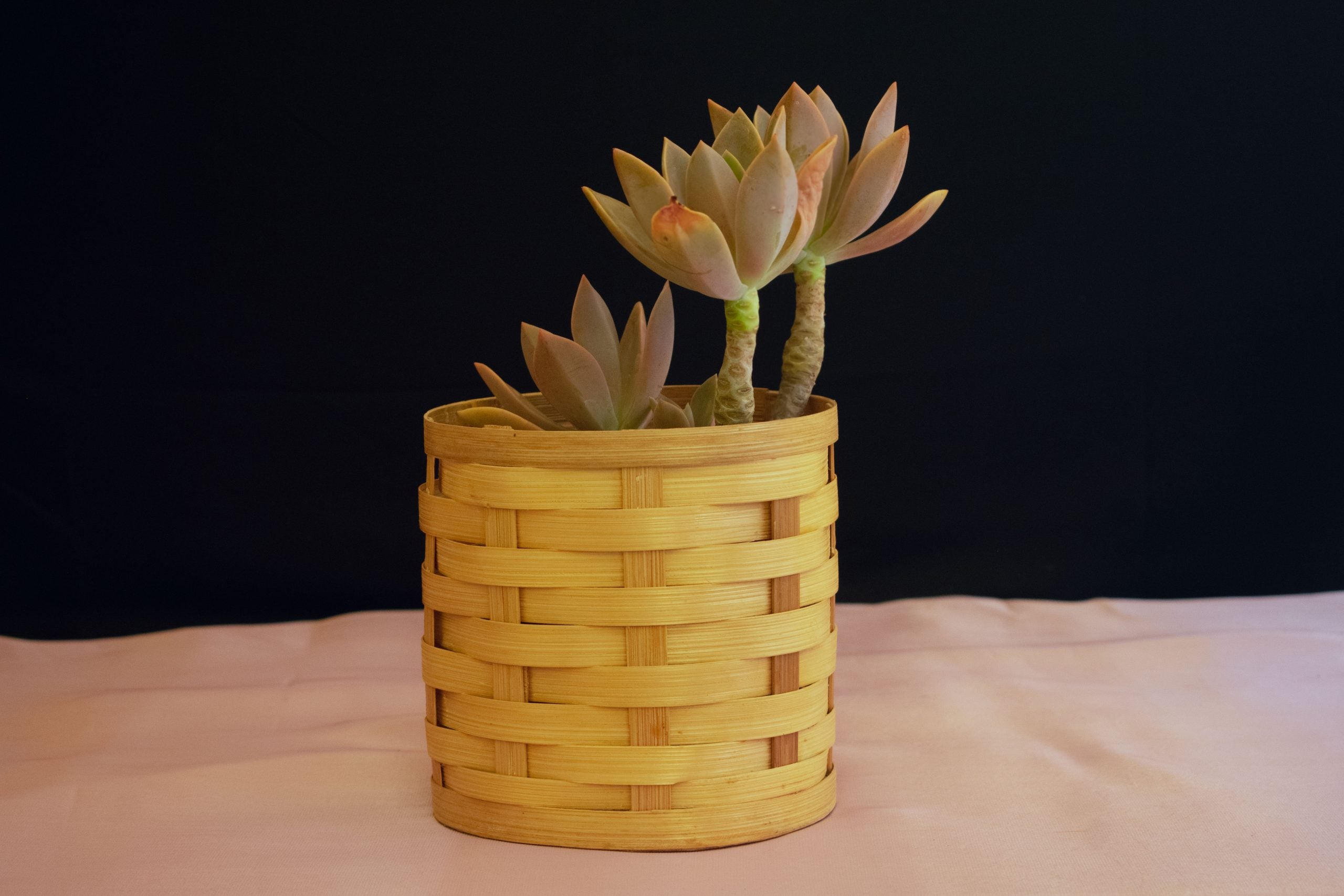 Bamboo Planter & Organiser - Handcrafted Himalayan Product by Baaduli
