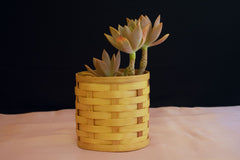Bamboo Planter & Organiser - Handcrafted Himalayan Product by Baaduli