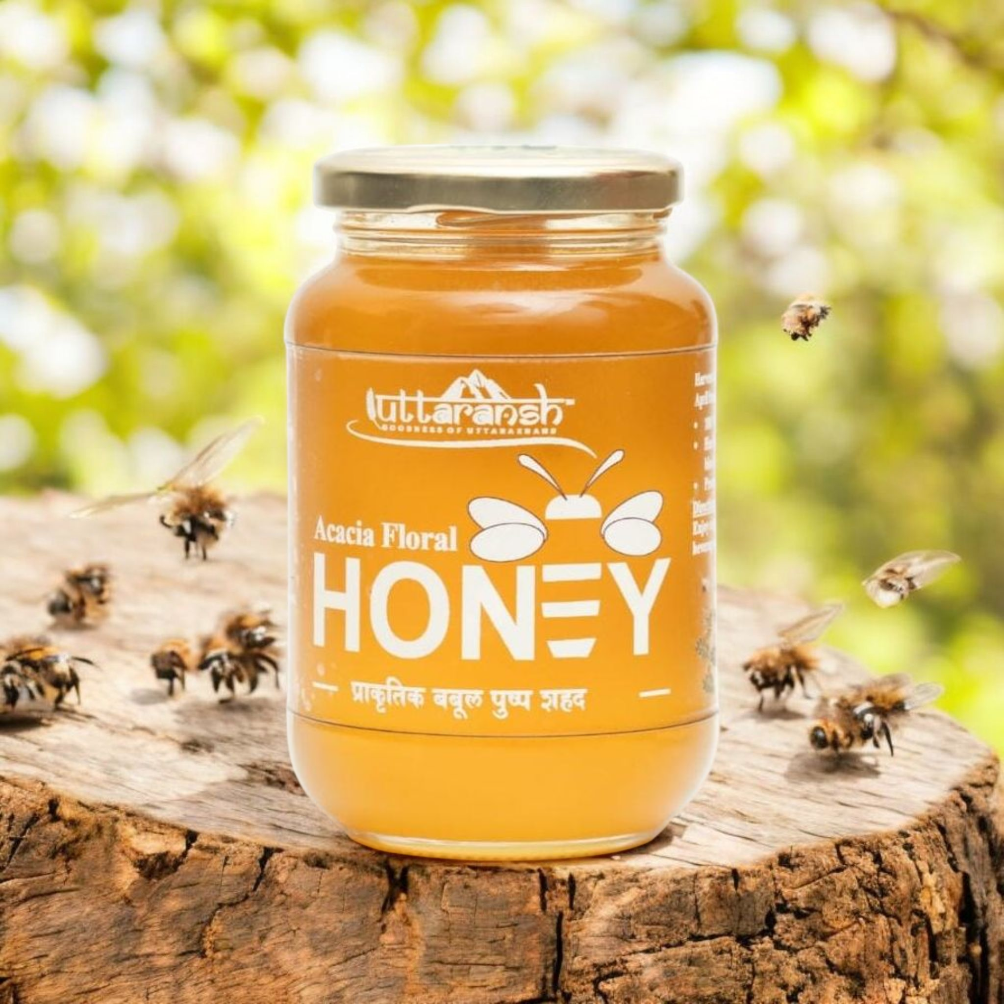 Himalayan Acacia Honey