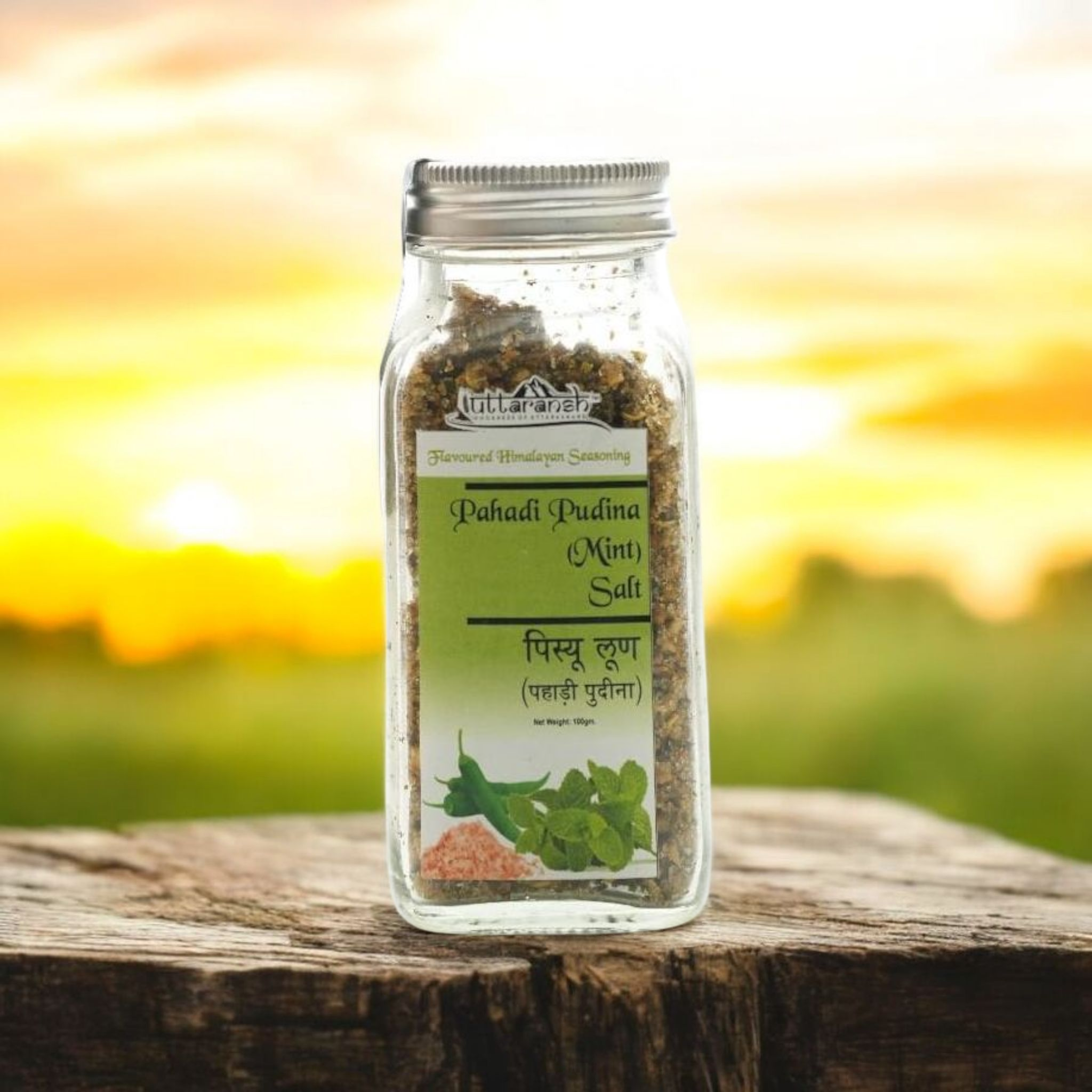 Himalayan Pahadi Pudina & Garlic Seasoning Salt 100Gm
